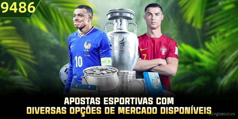 bingoaovivo Plataforma